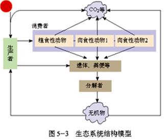 生物工程的基本原理是_高中生物 5.1生态工程的基本原理指点迷津(结)新人教版选修3