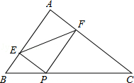 同桌100學(xué)習(xí)網(wǎng)