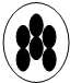 同桌100學(xué)習(xí)網(wǎng)