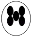 同桌100學(xué)習(xí)網(wǎng)