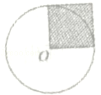 同桌100學(xué)習(xí)網(wǎng)