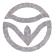 同桌100學(xué)習(xí)網(wǎng)