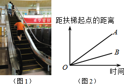 同桌100學(xué)習(xí)網(wǎng)
