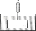 同桌100學(xué)習(xí)網(wǎng)
