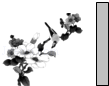 同桌100學(xué)習(xí)網(wǎng)