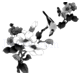 同桌100學(xué)習(xí)網(wǎng)
