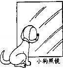 同桌100學(xué)習(xí)網(wǎng)