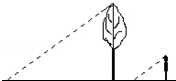 同桌100學(xué)習(xí)網(wǎng)