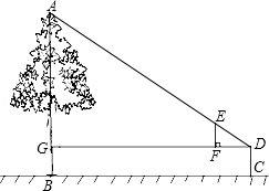 同桌100學(xué)習(xí)網(wǎng)