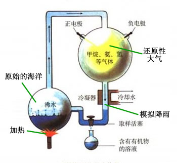 小分子实验原理是什么_分子轨道图是什么